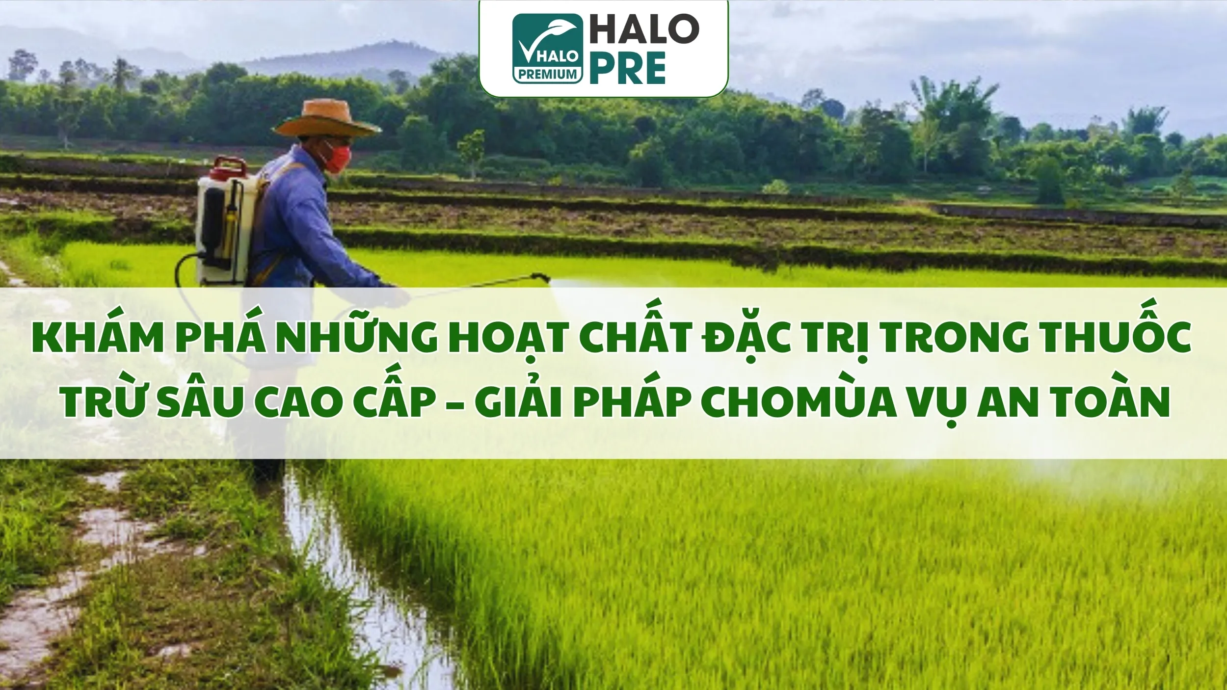 Khám Phá Những Hoạt Chất Đặc Trị Trong Thuốc Trừ Sâu Cao Cấp – Giải Pháp Mạnh Mẽ Cho Mùa Vụ An Toàn