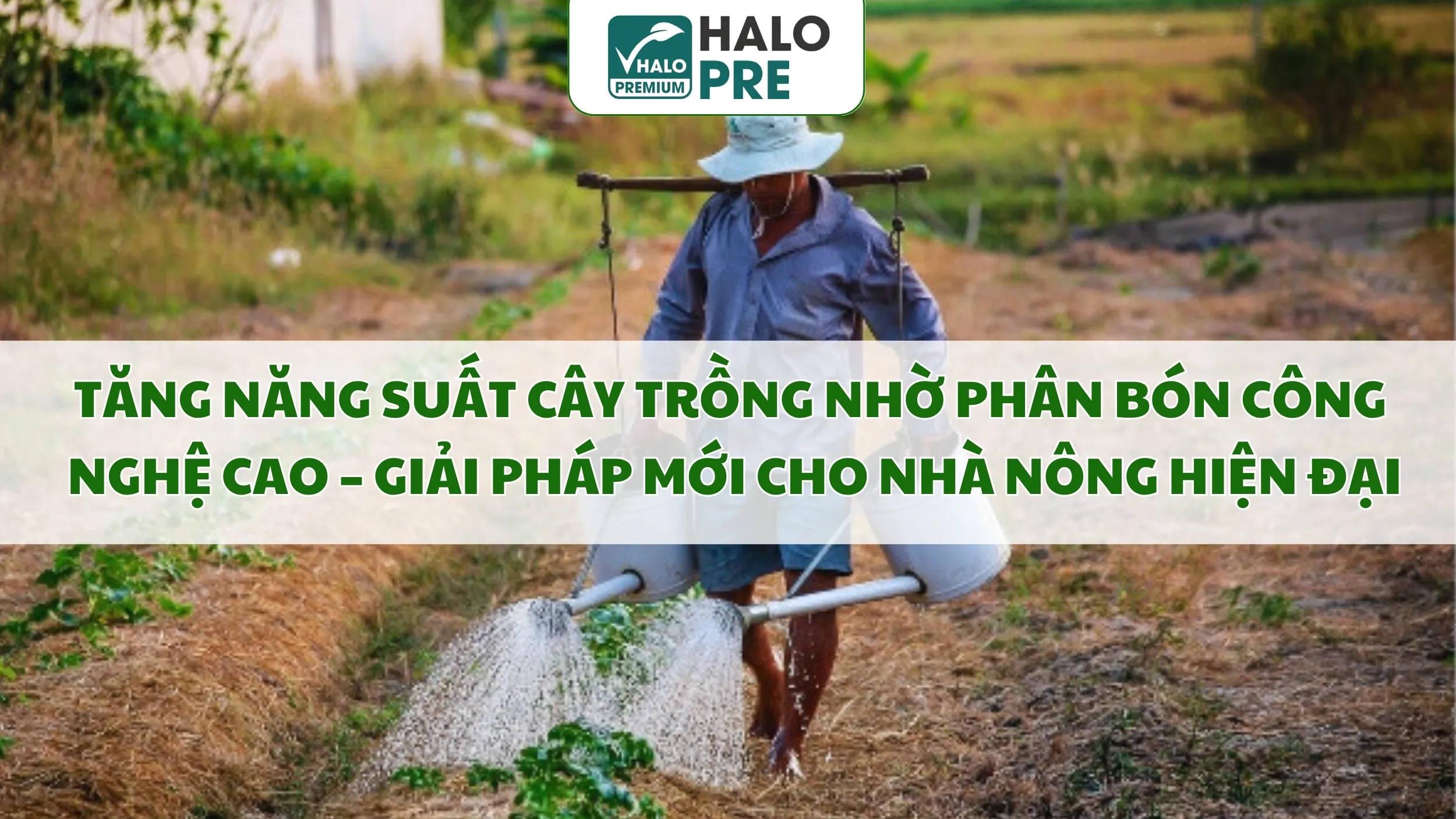 Tăng Năng Suất Cây Trồng Nhờ Phân Bón Công Nghệ Cao – Giải Pháp Mới Cho Nhà Nông Hiện Đại