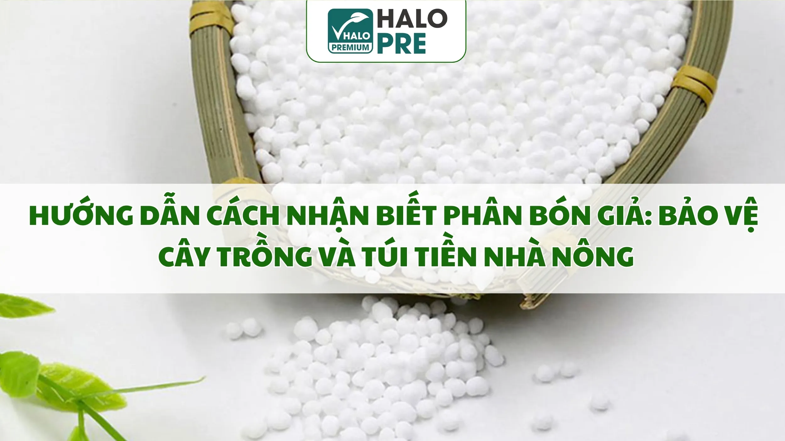 Hướng Dẫn Cách Nhận Biết Phân Bón Giả: Bảo Vệ Cây Trồng Và Túi Tiền Nhà Nông