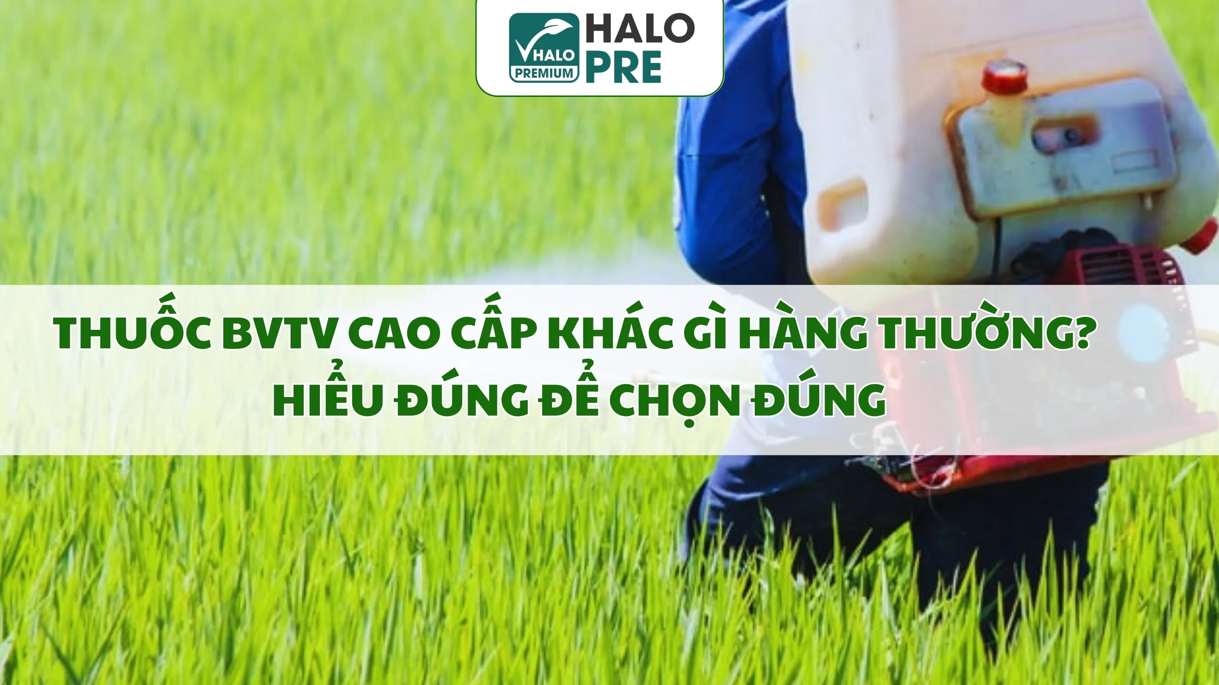 Thuốc BVTV Cao Cấp Khác Gì Hàng Thường? Hiểu Đúng Để Chọn Đúng