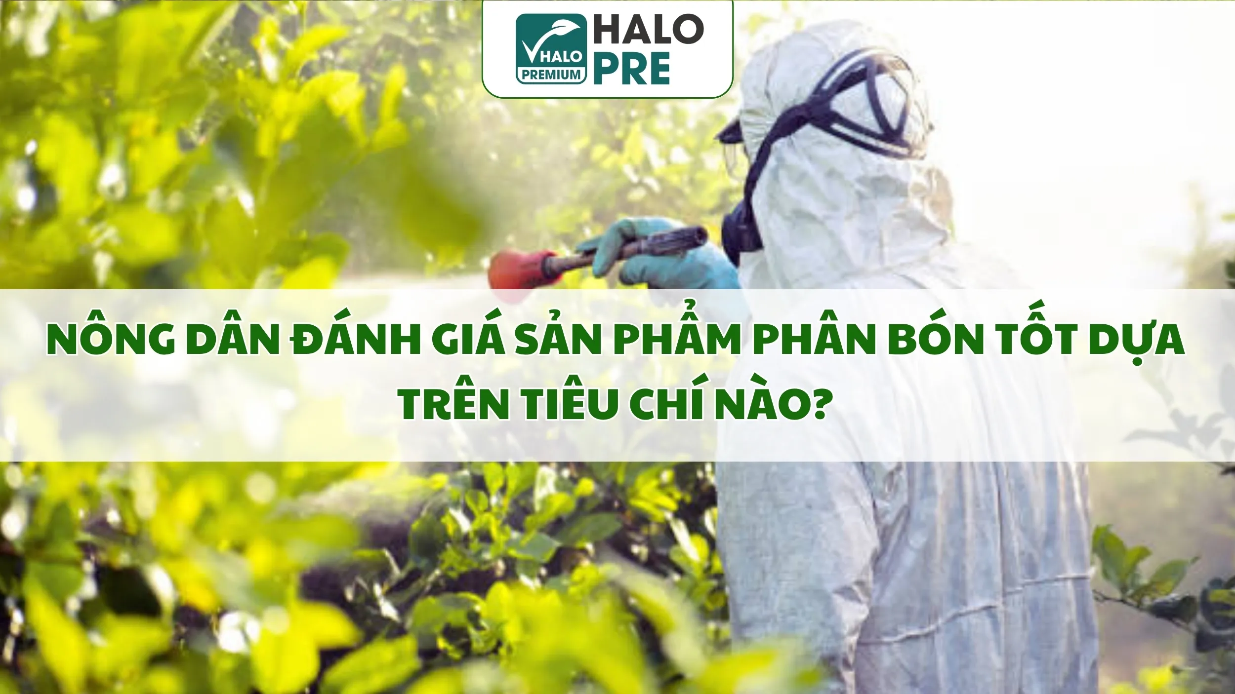 Nông Dân Đánh Giá Sản Phẩm Phân Bón Tốt Dựa Trên Tiêu Chí Nào? Hé Lộ Những Kinh Nghiệm Thực Tế